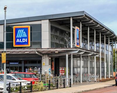 Late-November budget may affect Christmas shopping, says Aldi boss