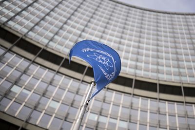 Iran pushes for IAEA resolution as top council backs nuclear inspections