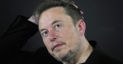 Labour urged to block Elon Musk's Tesla from government contracts