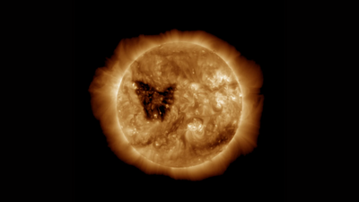Butterfly Shaped Hole On The Sun Appears: What Is It, How Much Bigger Than The Earth Is It, And How Will It Affect Us?