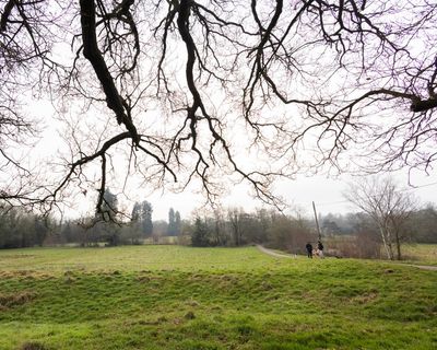 New legal challenge to plan for Spurs football academy in London park