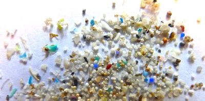 Solving the world’s microplastics problem: 4 solutions cities and states are trying after global treaty talks collapsed