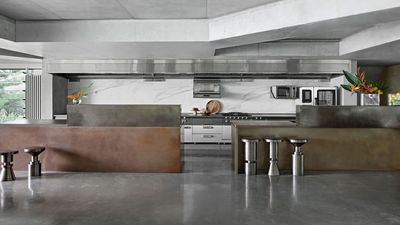 Stainless Steel Worktops Make Me Nervous — Can You Really Live With This Trendy Surface at Home? The Pros and Cons, Explained