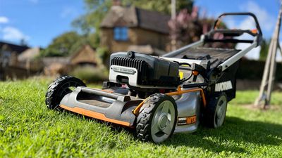 How to sharpen lawn mower blades: do you need to and what’s the safest way to do it?