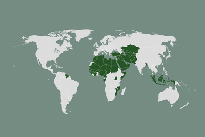Who are the 57 members of the Organisation of Islamic Cooperation?