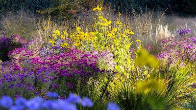 3 easy ways to use salt in the garden as a non-toxic and inexpensive alternative to harsh chemicals – it can even deter squirrels
