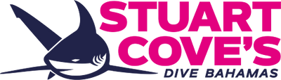 How Stuart Cove Turned a Love for the Ocean into a Global Diving Destination Spanning Four Decades in Nassau