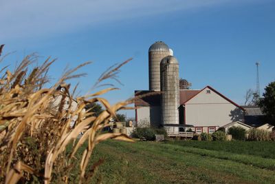 Pennsylvania Farmers Decry Immigration Crackdown: 'Need People to Do the Jobs Americans Are Too Spoiled to Do'