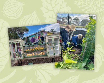 ‘It’s a safe haven for all students’: National Kitchen Garden awards 2025