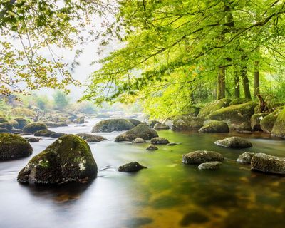 Revealed: river pollution twice as bad inside national parks as outside them