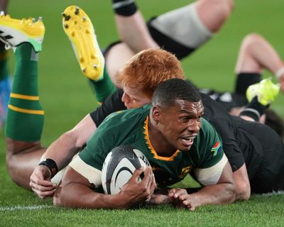 Springboks light up engrossing Rugby Championship so why tinker with it now?