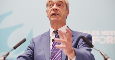Nigel Farage accused of 'vile homophobia' over stable relationships comment