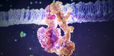Molecular ‘fossils’ offer microscopic clues to the origins of life – but they take care to interpret