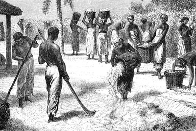 Slavery exhibits removed from national parks under White House order