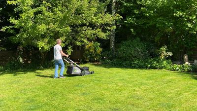 Can you cut wet grass with a lawn mower?