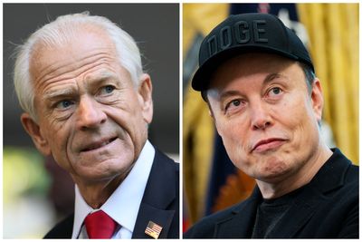 Peter Navarro calls on Musk to cleanse ‘cesspool’ on X and ban foreigners from the site