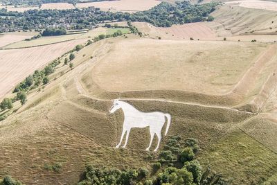 Police investigating damage to Westbury White Horse after red cross pinned to it