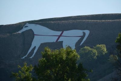 Police investigation underway into England flag pinned on famous white horse