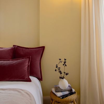 If you embraced one of these 3 major colour trends in 2025, you'll be pleased to know they're set to be just as big next year