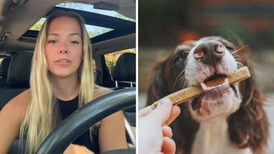 ‘Idaho 4…’: Old, ‘sweet’ man starts giving woman’s dog treats when he sees them on a walk. Here’s why some viewers are warning her