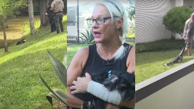 ‘I freaking fought an alligator and won’: Florida woman punches 5-foot gator in the face to save her 4-month-old puppy from creek attack
