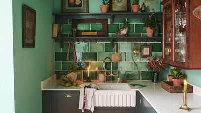 These non-toxic, $25 collapsible sealed storage boxes for the kitchen are perfect for storing away easily in small spaces