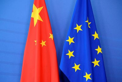 EU Business Lobby Head Says China Rare Earths Snag Persists