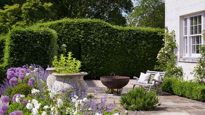 5 easy, low-maintenance privacy plants that screen your garden, muffle noise, and require almost no effort
