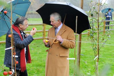 Raymond Blanc: ‘When I had a vegetarian menu, everyone looked at me like I was weird’