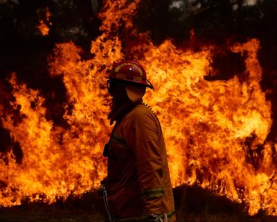 One of the wettest winters on record has firefighters worried about a potentially deadly NSW bushfire season