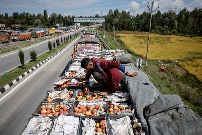 ‘Gone to waste’: Kashmir growers watch apples rot as key highway is blocked
