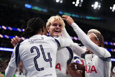 Bizarre own goal seals Champions League win for Spurs