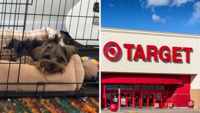 ‘I made her hold my dog’: Woman tries to take her dog into Target. Then a worker intervenes