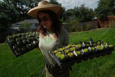 Move over, green lawns. Drier, warmer climate boosts interest in low-water landscaping
