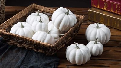 I've found the chicest Wayfair Halloween decor – there's 10% off right now, and I have the discount code