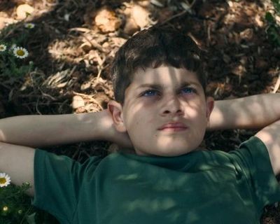 Israel’s culture minister threatens national film awards after Palestinian story takes top prize