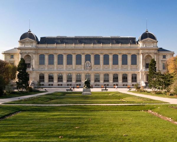Precious gold samples stolen in raid on French natural history museum
