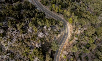 Trump’s Plan to End Forest Protections Targets a ‘Conservation Success Story’