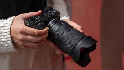 Tamron 18-300mm f/3.5-6.3 Di III-A VC VXD review: Is this the ultimate lens for travel?