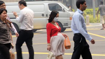 Even brief exposure to air pollution can push the placenta into an inflammatory state, lab study suggests