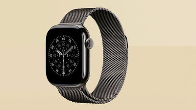 I finally bought a pricy Apple Watch band –and I sadly love it