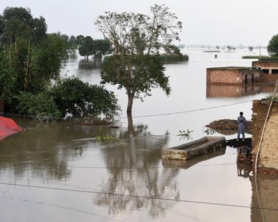 Only a third of world’s river basins experienced normal conditions in 2024