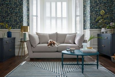 Pet-friendly design choices for stylish interiors