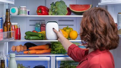 Forget baking soda — this app-controlled fridge air purifier claims to cut down on kitchen odors and keep your food fresher for longer