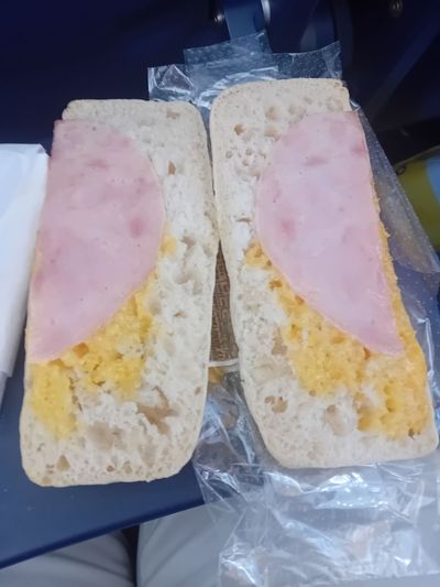 'Ryanair served me the worst plane food ever - this sandwich wasn't fit for Oliver Twist'