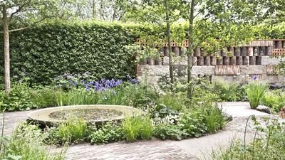 5 natural ways to deter snakes from your yard – why one gardening expert swears by these eco-friendly and harm-free methods