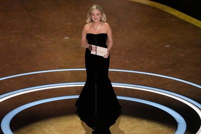 Amy Poehler criticises the Oscars for failing to recognise comedy roles