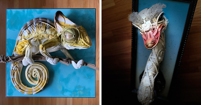 This Artist Creates Incredible Sculptures Out Of Stuff That’s Been Thrown Away (30 Pics)