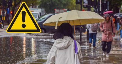 Yellow weather warning for heavy rain issued for large parts of Scotland