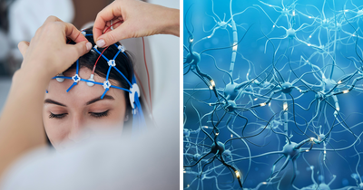 “Trust Your Gut Feeling”: Scientist Suggest Precognition May Be Real In Haunting New Evidence